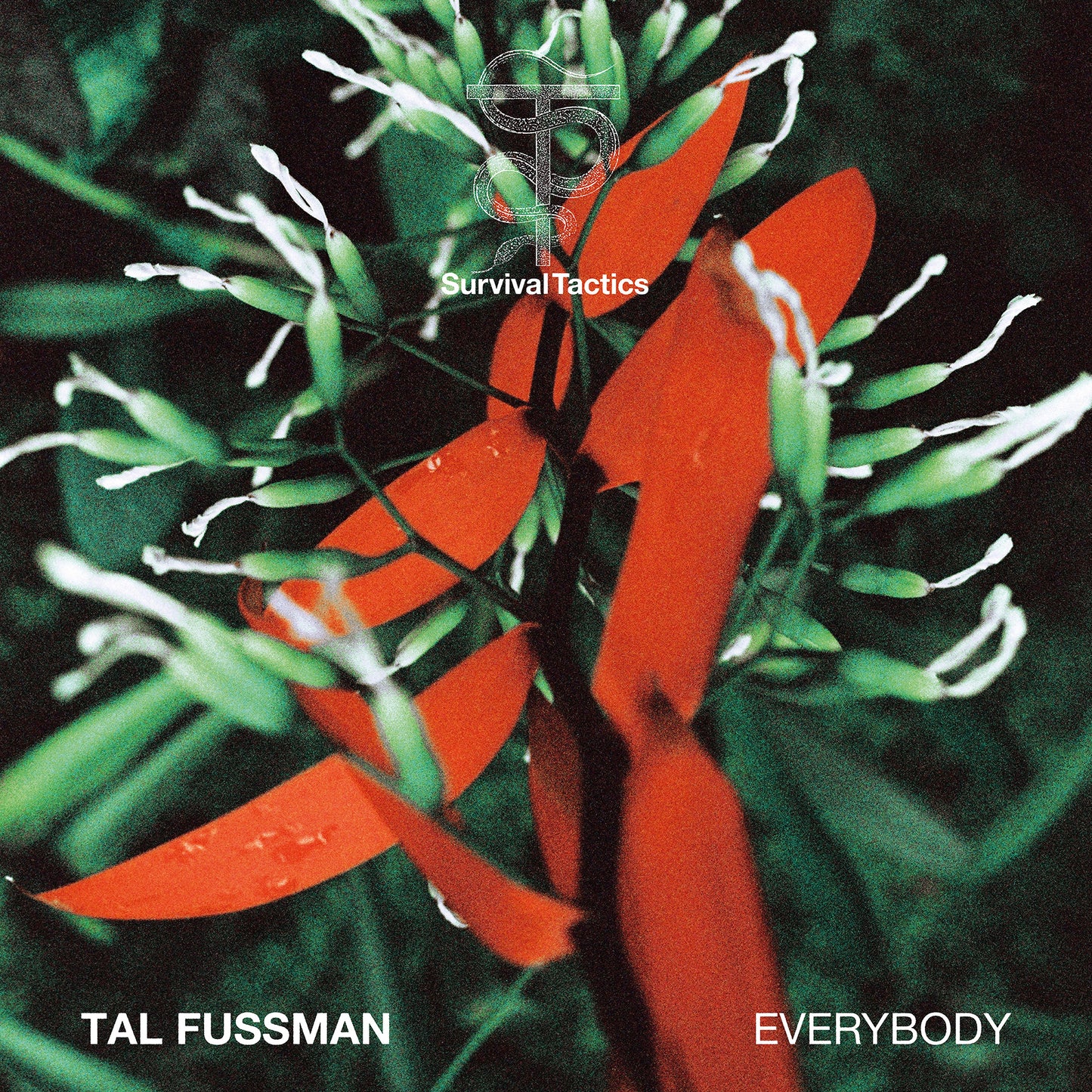 ST005 — Tal Fussman — Everybody, Vinyl EP