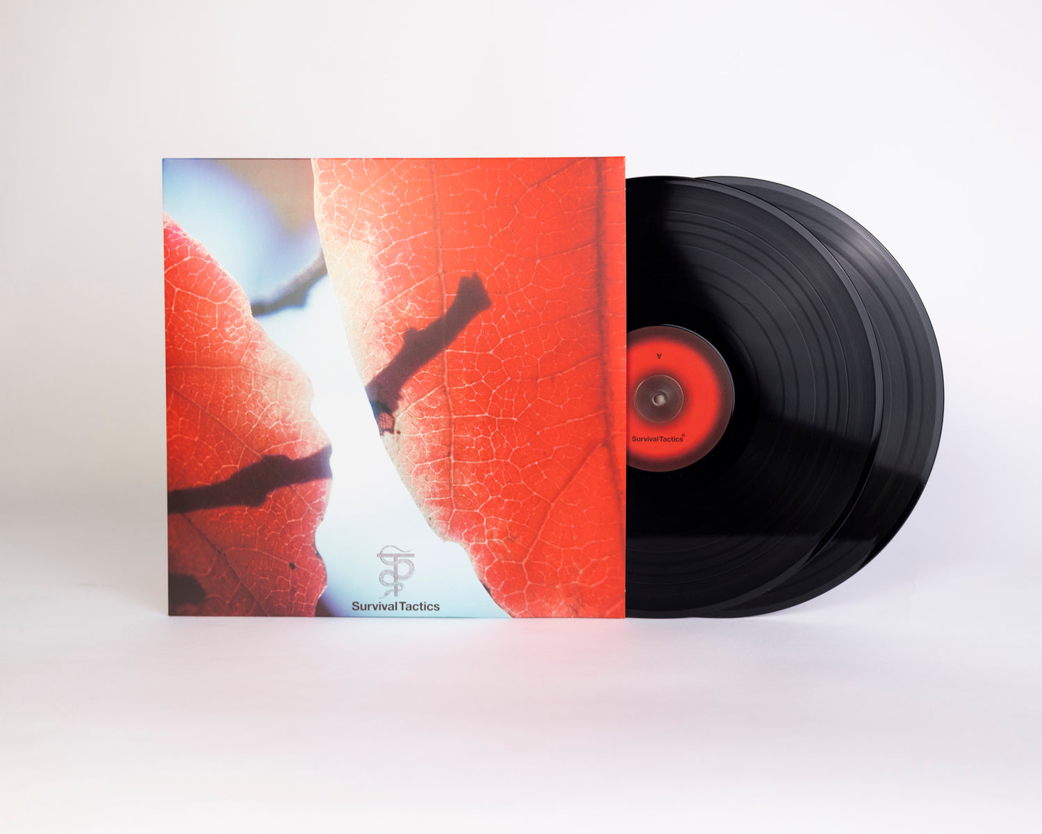 Tal Fussman – The Fine Line in Between