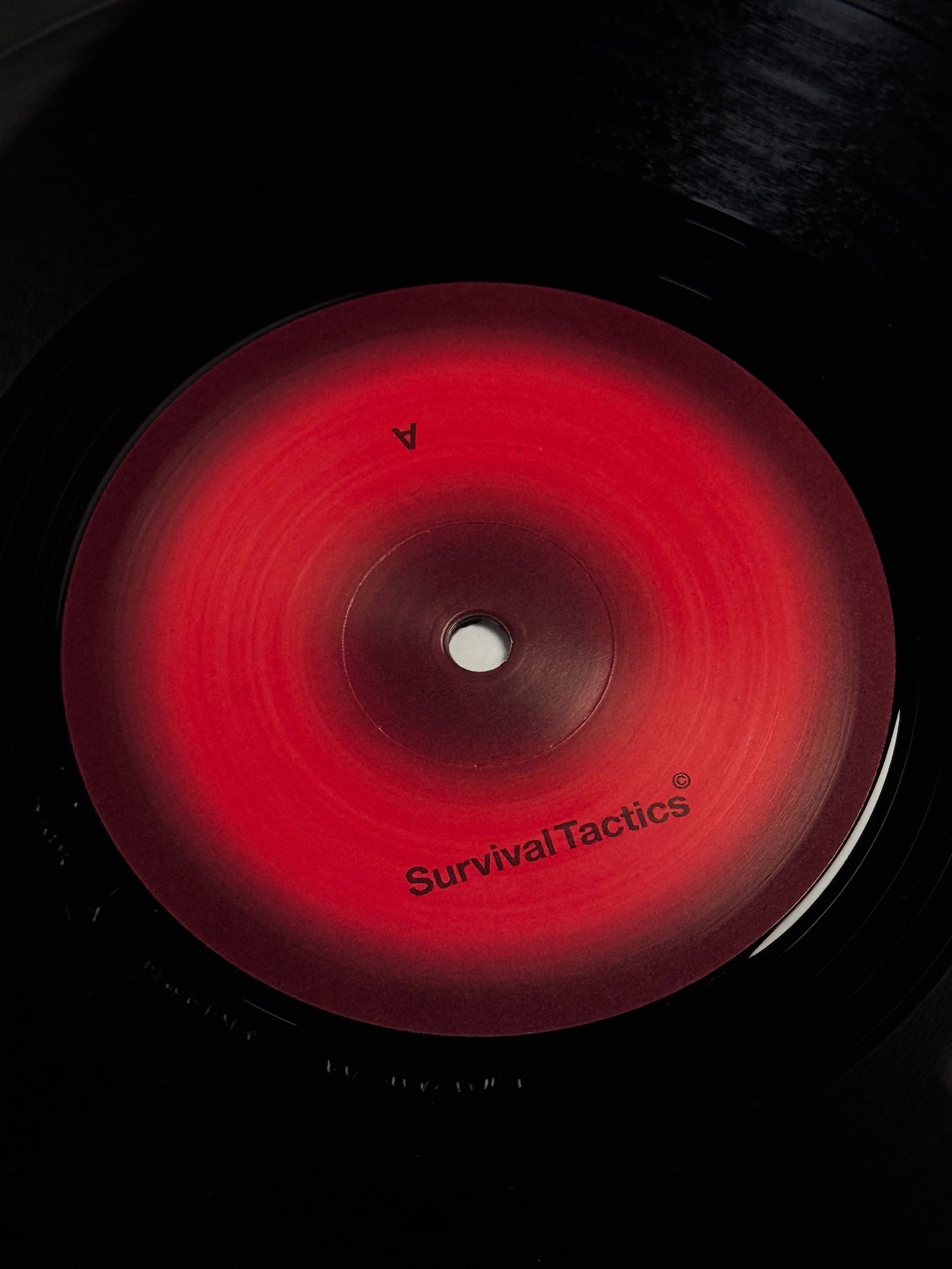 ST005 — Tal Fussman — Everybody, Vinyl EP [Repress]